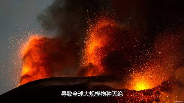 我们星球上的生命
