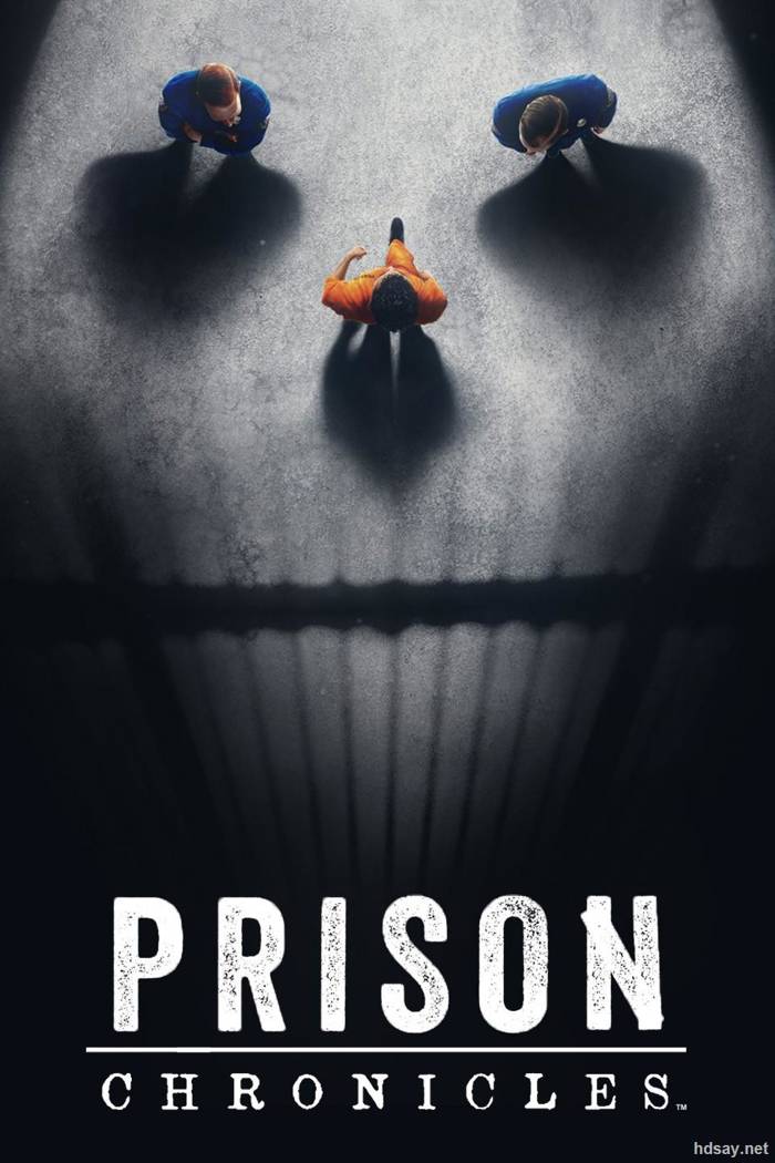 Prison Chronicles Season 1