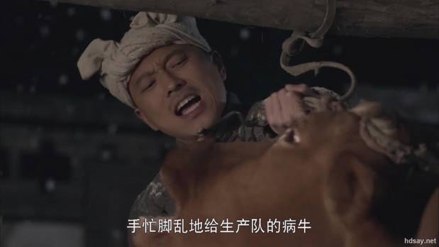 平凡的世界