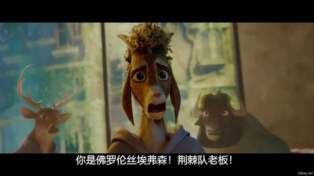 奇迹梦之队