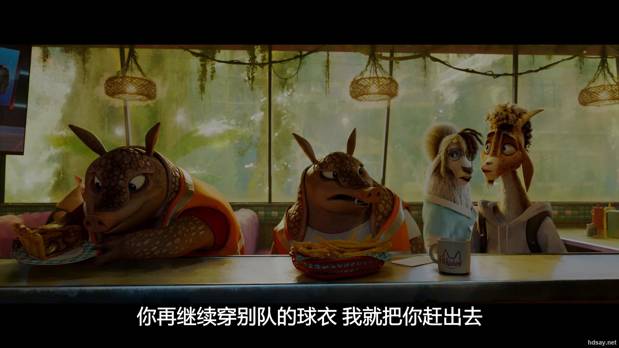 奇迹梦之队