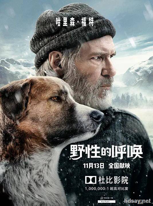 极地守护犬(港