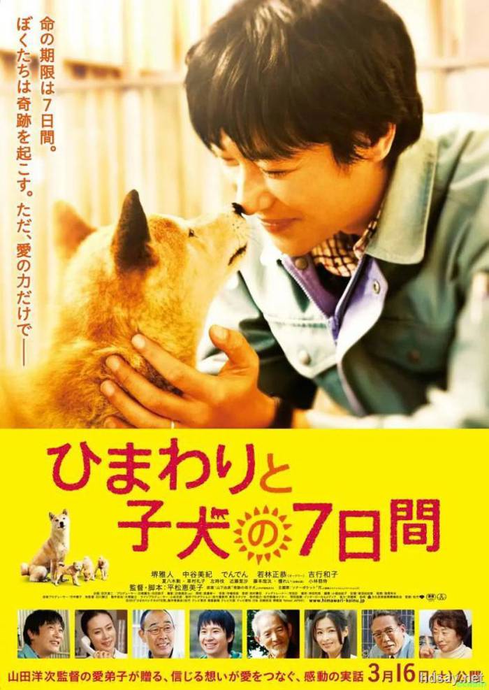 7 Days of Himawari & Her Puppie