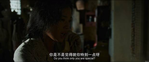 寻她