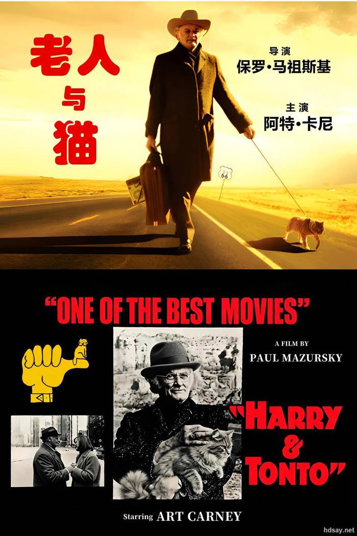 老人与猫HarryandTonto